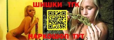 тгк Новодвинск