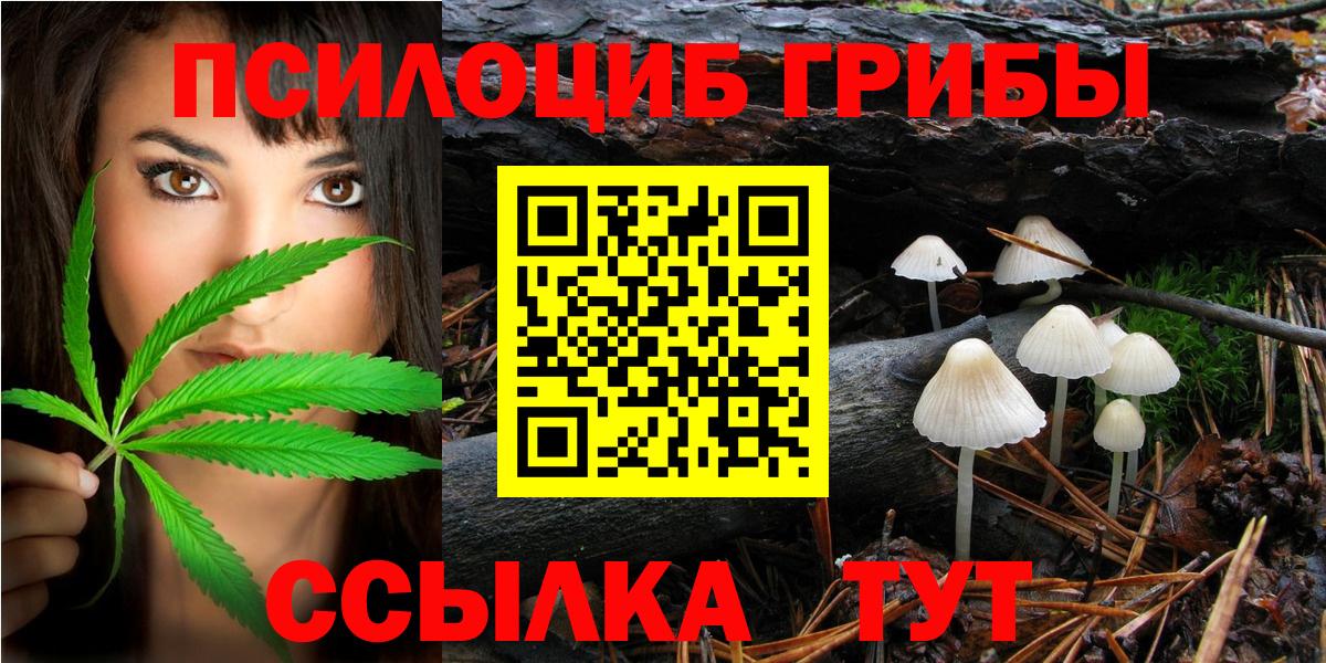 дарнет шоп  Псилоцибиновые грибы ЛСД  Вход с VPN  Тайшет 