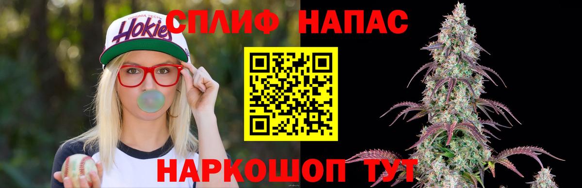 Бошки Шишки план Тайшет