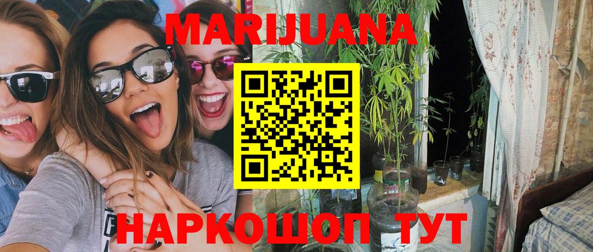 МАРИХУАНА семена  Бошки Шишки гибрид  Вход с VPN  Тайшет  Канабис VHQ 